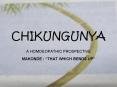 CHIKUNGUNYA PowerPoint PPT Presentation