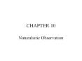 Naturalistic Observation PowerPoint PPT Presentation