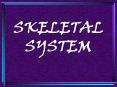 SKELETAL SYSTEM PowerPoint PPT Presentation
