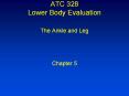 ATC%20328%20Lower%20Body%20Evaluation PowerPoint PPT Presentation