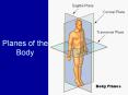 Planes of the Body PowerPoint PPT Presentation