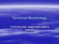 Territorial Morphology PowerPoint PPT Presentation