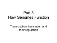 Part 3 How Genomes Function