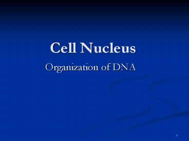 Cell Nucleus