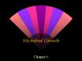 Microbial Growth PowerPoint PPT Presentation