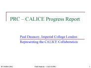 PRC CALICE Progress Report