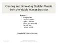 Creating and Simulating Skeletal Muscle from the Visible Human Data Set PowerPoint PPT Presentation