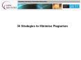 36 Strategies to Minimise Plagiarism PowerPoint PPT Presentation