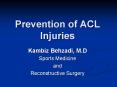 Prevention of ACL Injuries PowerPoint PPT Presentation