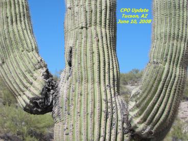 CPO Update