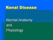 Renal Disease