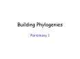 Building Phylogenies PowerPoint PPT Presentation