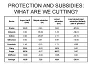 PROTECTION AND SUBSIDIES: WHAT ARE WE CUTTING?