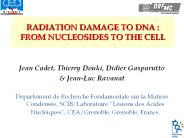 RADIATION DAMAGE TO DNA : FROM NUCLEOSIDES TO THE CELL