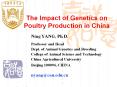 The Impact of Genetics on Poultry Production in China PowerPoint PPT Presentation