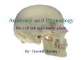 Anatomy and Physiology PowerPoint PPT Presentation