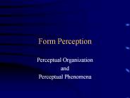Form Perception