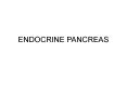 ENDOCRINE PANCREAS PowerPoint PPT Presentation