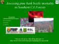 Assessing pine bark beetle mortality in Southern CA Forests PowerPoint PPT Presentation