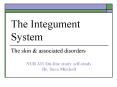 The Integument System PowerPoint PPT Presentation
