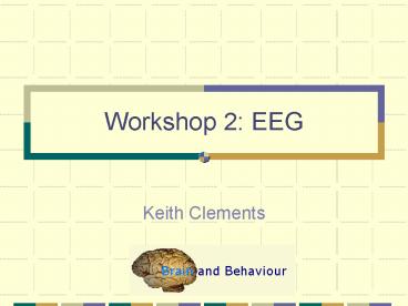Workshop 2: EEG