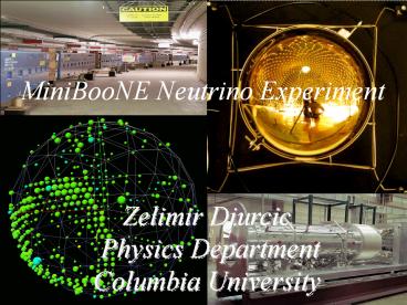 Zelimir Djurcic Physics Department