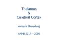 Thalamus PowerPoint PPT Presentation