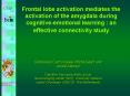 Frontal lobe activation mediates the activation of the amygdala during cognitiveemotional learning : PowerPoint PPT Presentation