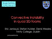 Convective Instability in quasi 2D foams