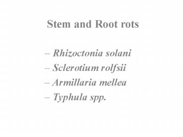 Stem and Root rots