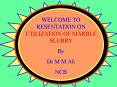 WELCOME TO RESENTATION ON UTILIZATION OF MARBLE SLURRY PowerPoint PPT Presentation