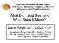 What Did I Just See, and What Does It Mean PowerPoint PPT Presentation
