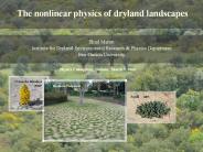 Dynamics of plant communities in drylands