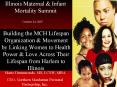 Illinois Maternal PowerPoint PPT Presentation