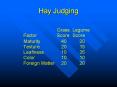 Hay Judging PowerPoint PPT Presentation