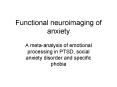 Functional neuroimaging of anxiety PowerPoint PPT Presentation