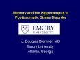 Memory and the Hippocampus in Posttraumatic Stress Disorder PowerPoint PPT Presentation