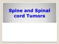 Spine and Spinal cord Tumors PowerPoint PPT Presentation