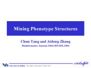 Mining Phenotype Structures