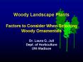 Woody Landscape Plants Factors to Consider When Selecting Woody Ornamentals Dr' Laura G' Jull Dept' PowerPoint PPT Presentation