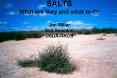 SALTS What are they and what to do Jim Millar Soil Scientist USDANRCS PowerPoint PPT Presentation