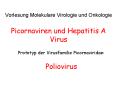 Vorlesung Molekulare Virologie und Onkologie Picornaviren und Hepatitis A Virus PowerPoint PPT Presentation