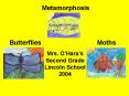 Metamorphosis PowerPoint PPT Presentation