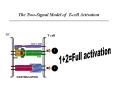 The Two-Signal Model of T-cell Activation PowerPoint PPT Presentation