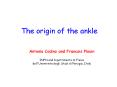 The origin of the ankle PowerPoint PPT Presentation