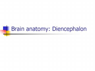 Brain anatomy: Diencephalon
