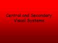 Central and Secondary Visual Systems PowerPoint PPT Presentation