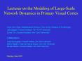 Lectures on the Modeling of LargeScale Network Dynamics in Primary Visual Cortex PowerPoint PPT Presentation