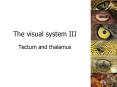 The visual system III Tectum and thalamus PowerPoint PPT Presentation