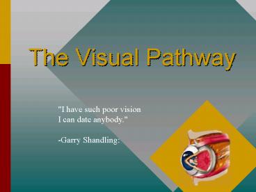 presentation player overlay